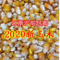 2021 new corn grain feed pigeon feed chicken duck goose fishing nest chicken feed 50kg