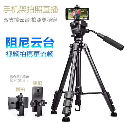 Yunteng 691 mobile phone holder selfie camera trembles with live video shooting monocular outdoor tripod large fill light remote control multi-function outdoor landing net red pulley tripod