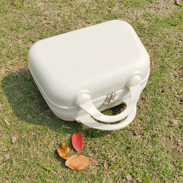 Товары от 赵奶奶只卖拉杆箱