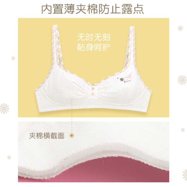 SHOPESSA School Supplies 60% Savings! Woman's Fashion Bowknot Printing  Comfortable Hollow Out Bra Underwear No Rims School Year Clothes Savings in  Season 