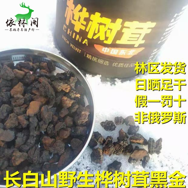 Long white mountain birch tree furry black gold grain black crystal black fine wild non-Russian birch brown pore fungus natural insulin