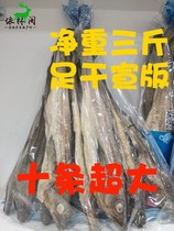 Three catties of super large Ming Tai fish dried ten 45-47cm Korean baseball fish ready-to-eat hand tear 1500g