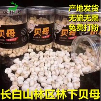 Northeast Changbai Mountain Fritillaria wild big Fritillaria half a catty 250g is not a Fritillaria without sulfur-free smoked