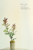 Clay handmade miniature Mini 6 points 11 points 12 points bjd ob doll house with flowers purple leaves dense feathers Acacia