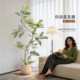 Ins style fake potted plants