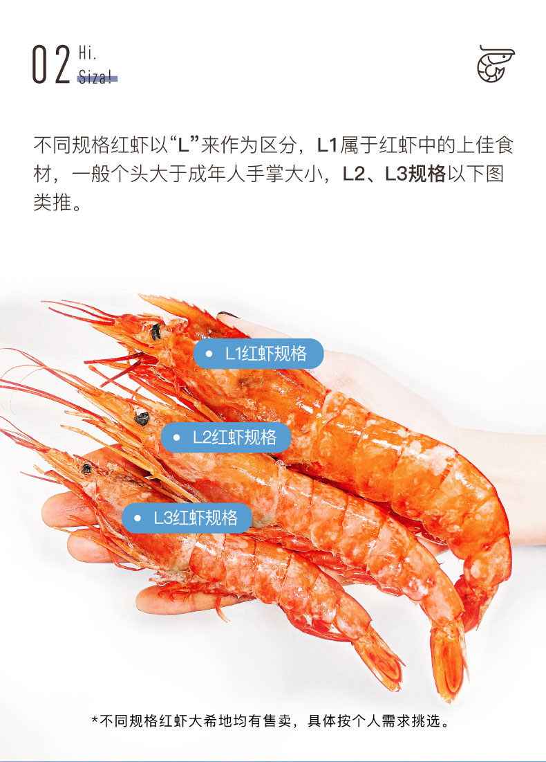 大希地 L1级超大号 阿根廷红虾 净重4斤 图4
