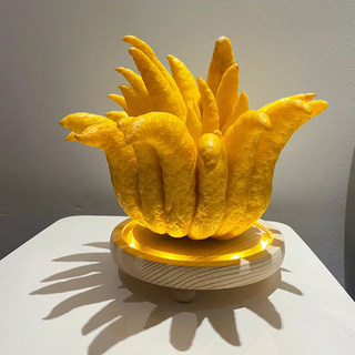 清供观赏佛手柑新鲜现摘现发佛手果带枝水养水培食用摆放供台佛手