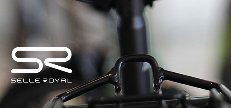 Selle de vélo Mountain Bike SELLE ROYAL - Ref 2350271 Image 51