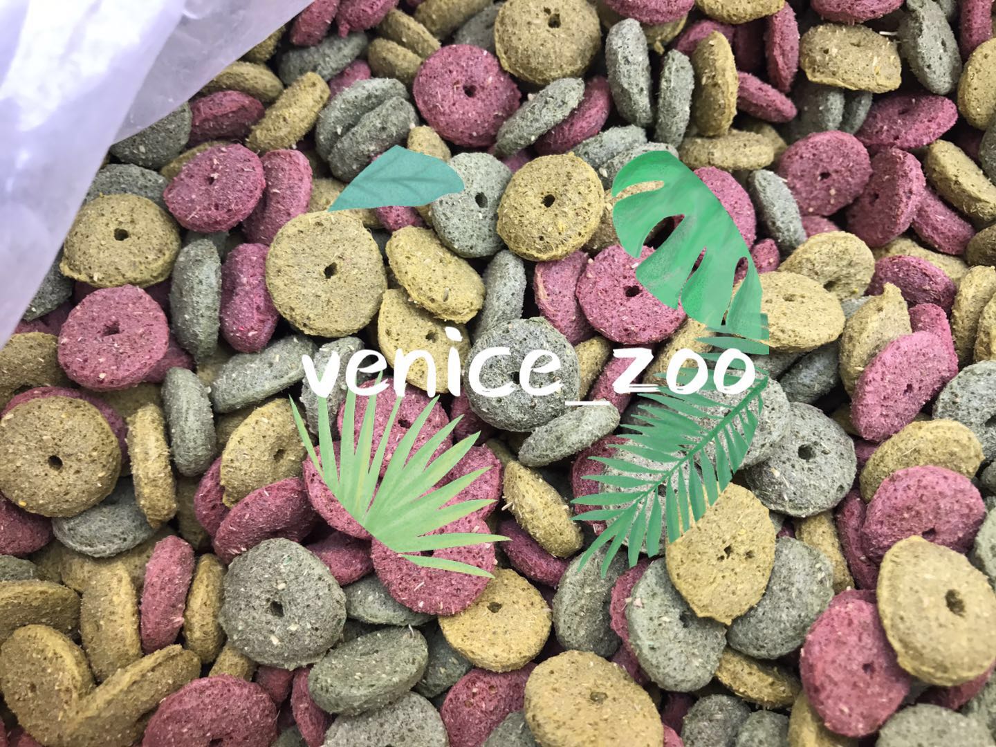 (Full 88) Grinding Snack Hamster Rabbit Chinchilla Guinea Pig Grass Circle Alfalfa Granules Fruit and Vegetable Salad