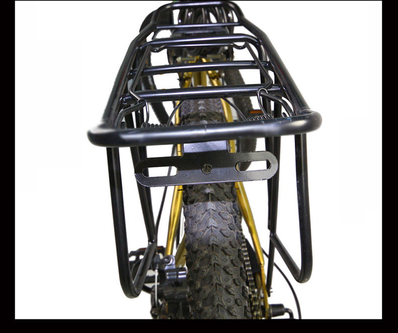 Porte-bagages pour vélo PHILLIPS - Ref 2413923 Image 22