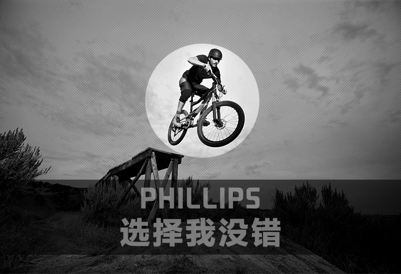 Porte-bagages pour vélo PHILLIPS - Ref 2413923 Image 32