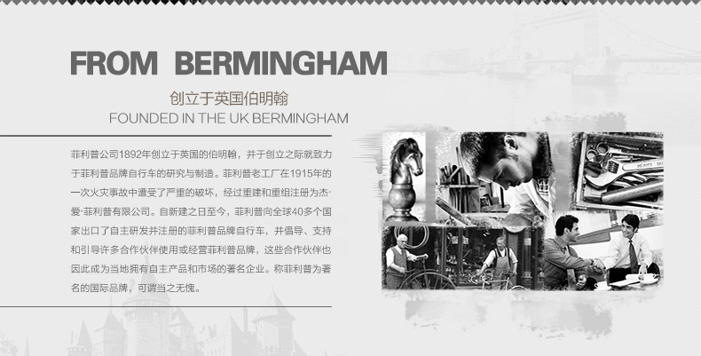 Porte-bagages pour vélo PHILLIPS - Ref 2413923 Image 26