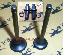 Earth Eagle King DD250 Prince Lifan CA250 Qianjiang QJ250-3A motorcycle intake and exhaust valve guides