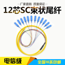 National brand new 12 Core SC beamline tail fiber single-mode SC bundle tail fiber manufacturer direct sales support set