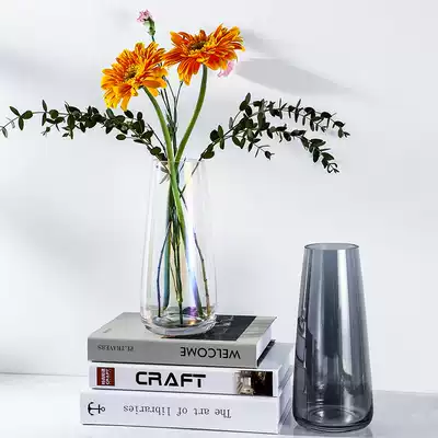 Clearance processing Nordic style Rainbow symphony glass vase decoration Living room flower arrangement flower dryer