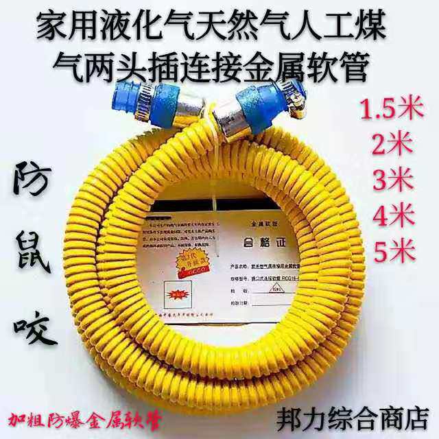 Home Pipeline Gas Liquefied Gas Hose Hose Cooker Stainless Steel Hose Metal Hose