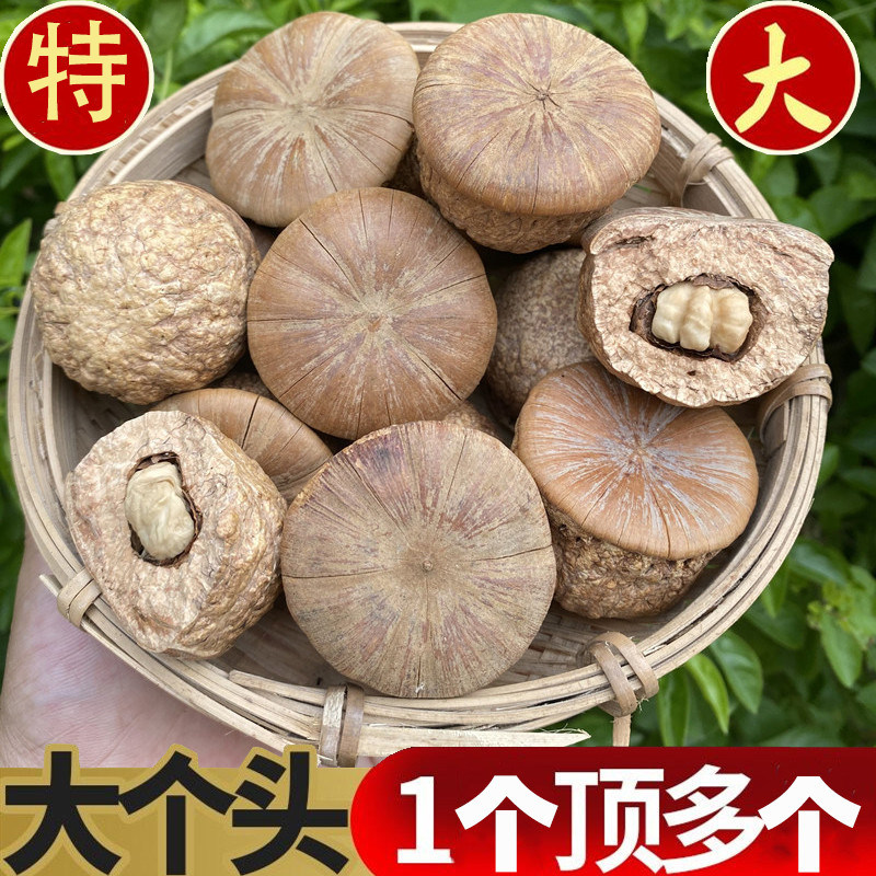 Guangxi wild wind fruit 500g fresh turtle head health wine male nourishing bubble wine medicinal material