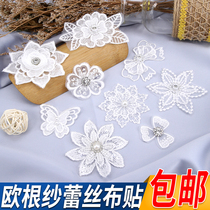 Lace Flower Patched Embroidery DIY Small Clothes Break Decorative Fabric Pattern Embroidery Pattern Subsidy Clothes