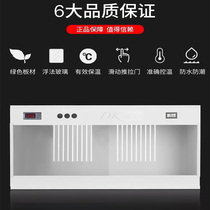 Reptile pet breeding box insulation and temperature control thermostat PVC glass maned lion lizard turtle gecko horned frog incubator brand new