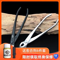 Oblique ball scissors ball joint pliers oblique cut bonsai making tool Maxwan stainless steel professional grade potted pruning gardening