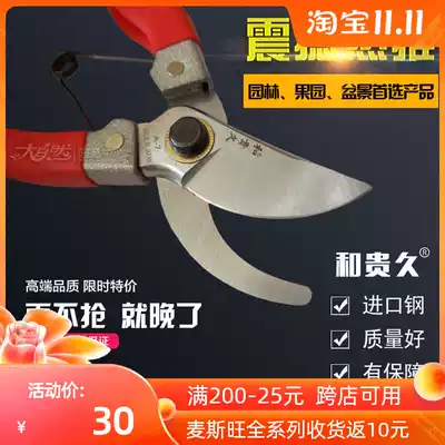 Japan SK5 steel pruning shears garden shears fruit tree scissors flower art scissors bonsai scissors bonsai scissors pedicure flower scissors household shears