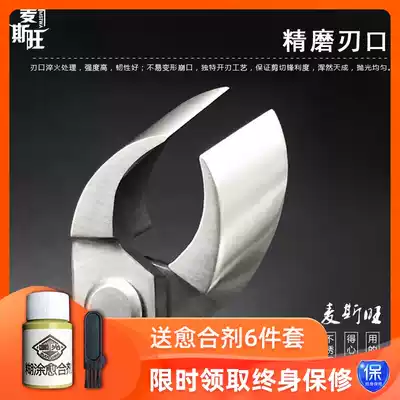 Bonsai Styling Special tool diagonal cutting fork branch scissors oblique cutting horticultural scissors bonsai scissors