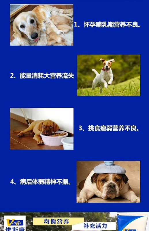 Viscon pet dog dinh dưỡng kem canxi cao mang thai chó con yếu canxi mèo con lông vàng với sản phẩm sức khỏe