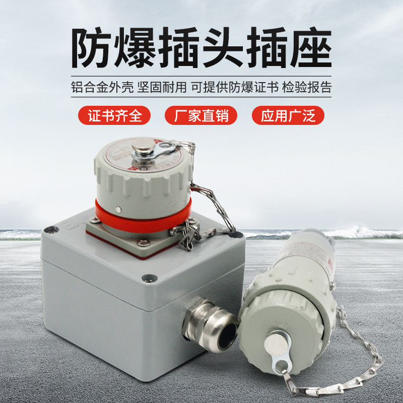 Explosion-Proof Socket Plug 380V Three-Phase Four-Pole/Five-Core High-Power Spark-Free 25A32A63A Plug Surface-Mounted