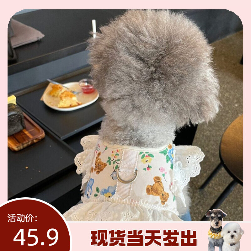(Laughs Home) Korean version Ins Wind Spring Summer Pets Puppy Blue Breathable Mesh Small & Medium Dog Breast Cuddling Bag
