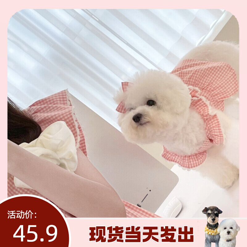 (laughs and laughs) Ins Wind Han Edition Pet Pet Clothing Sweetheart Xiaoxiang Style Sub-Butterfly knot Princess Skirt Spring Summer style