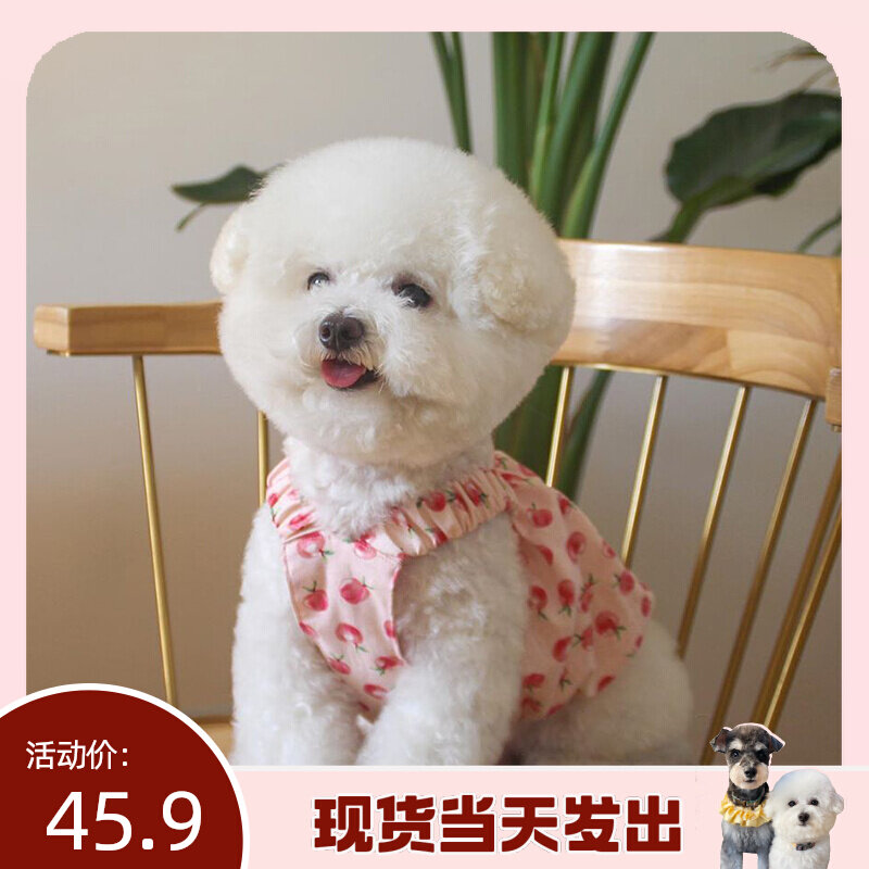 (Laughs Laughs) South Korea Ins Wind Pet Pendant With Skirt Spring Summer New Water Honey Peach Pink Blue Princess Dress