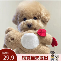 (laughs and laughs) Inwind Korean version Bio Bear Snow Narui Loving Teddy Bear Pet Stash of Vocal Smell Toys