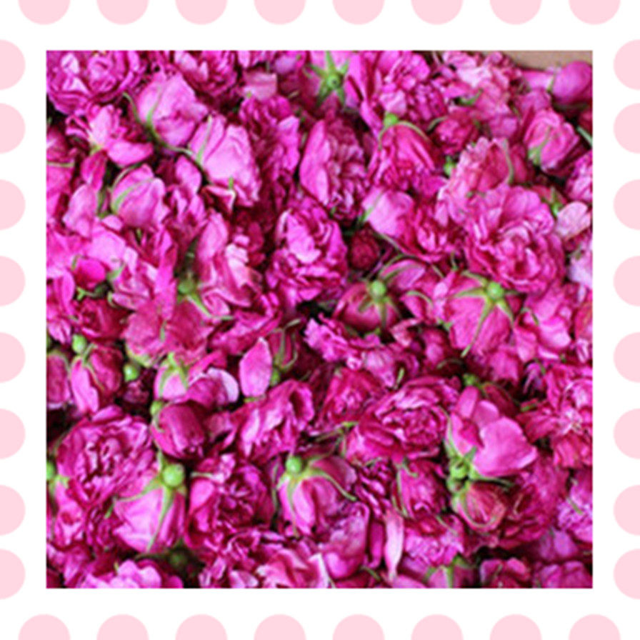 Fresh Pingyin rose flowers flower bud flowers as pure dew enzyme rose sauce edible flowers group purchase