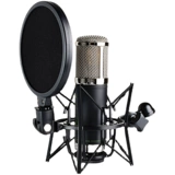 Monkey Banana /Банановая обезьяна Bonobo Microphone Microphone Music Music Live трансляция [Cool Play Audio]