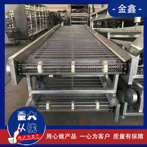 Multi-layer mesh belt conveyor small mesh conveyor cooling cleaning chain plate stainless steel mesh chain conveyor