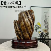(Zen original stone) Huaan Jade Shanzi Ornaments Town House Collection Backing Stone Nine Dragon Wall Strange Stones with Strange Shapes