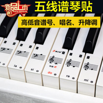 Transparent 88 keys 61 harpsichord stick key stick stick note note sticker roll call Mark Mark high and bass clef