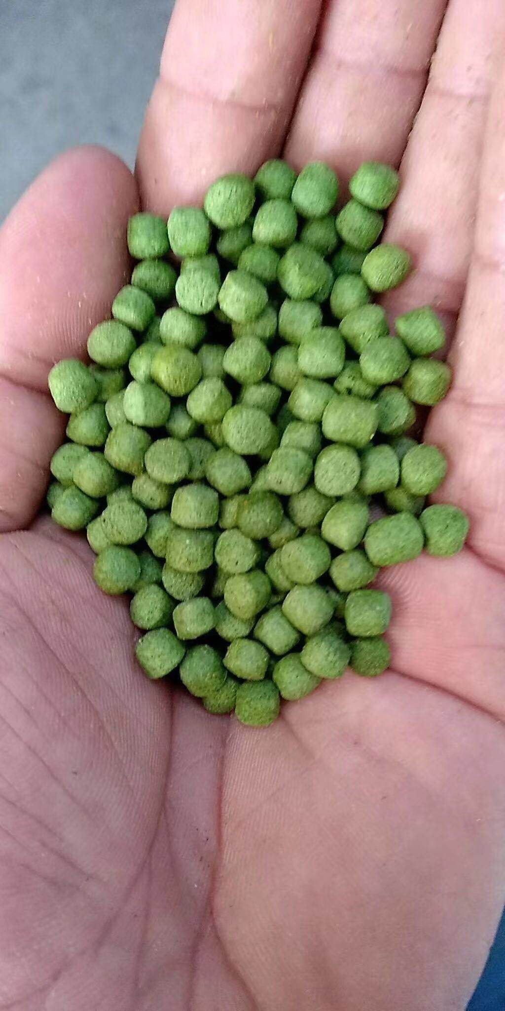 Fishing bait red yellow green black puffing particle black pit black hole striking bait comprehensive basic raw material