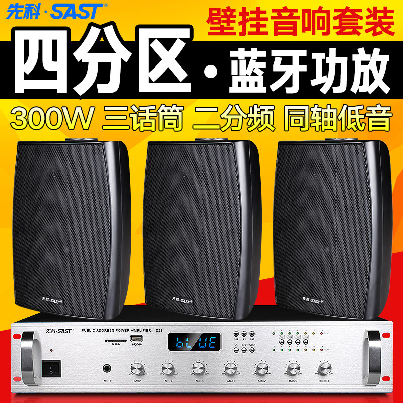 SAST chenko D41 hanging wall type sound box indoor sound hanging wall loudspeaker dining room Broadcast system power amplifier suit