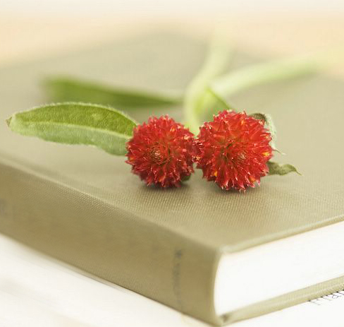 Liu Nian splendid cross stitch pro pat-up