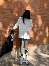 Japanese SLY white pure cotton long sleeve T-shirt female inner lap 2020 Fall new loose undershirt blouse