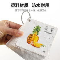 Early education card enlightenment Infant baby cognitive card Childrens animal English can be washed and torn not rotten educational toys