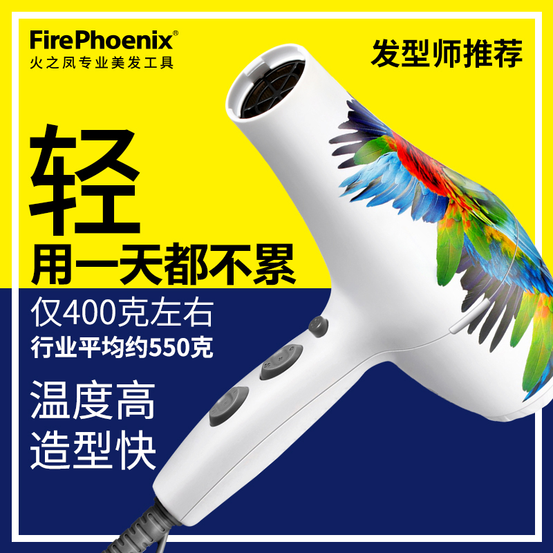 Fire Fengfeng hair dryer hair style special lightweight silent hairdresser style 5600 A parrot