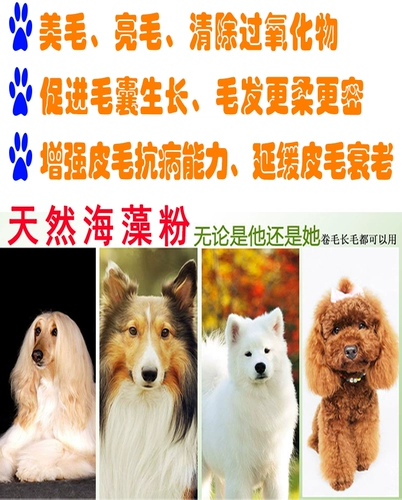 Порошок морских водорослей натуральный порошок красоты свободные пушки крупные рыбацкие приманки гнездо ингредиенты домашние корм для собак питомца корм