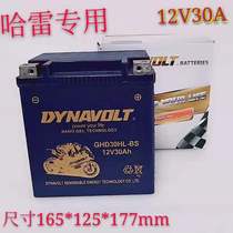 Lion Colloid Motorcycle Battery 12V30A Harley Big Gliding Road Wang Chunfeng ATV Motorboat Battery