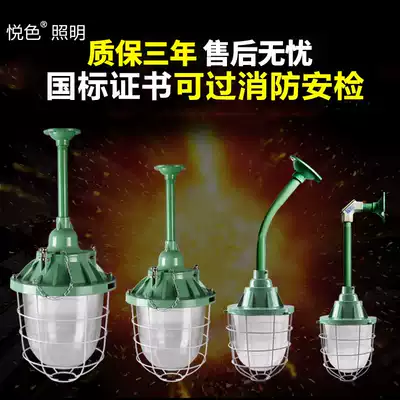 National standard LED explosion-proof lamp Explosion-proof workshop factory room lighting Warehouse lamp Explosion-proof lampshade gas station lamp