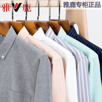  Yalu autumn mens casual slim-fit Oxford spinning shirt Long-sleeved Korean white shirt mens inch clothes casual blue