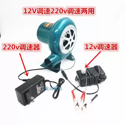 12V DC blower outdoor barbecue 12V battery special small electric 220V AC and DC hair dryer