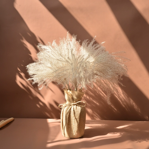 Натуральный тростник сушеный цветок вставка декоративное магазин магазин Shinhua Home Fressings Стрельба для реквизита