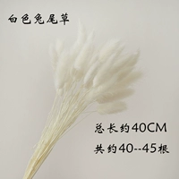 Белый хвост кролика 40-45 корней